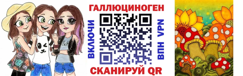 Псилоцибиновые грибы Psilocybine cubensis  mega как войти  Чадан 