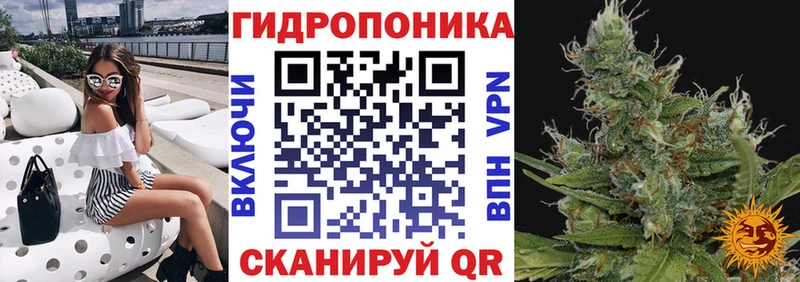 Бошки Шишки планчик  Чадан 